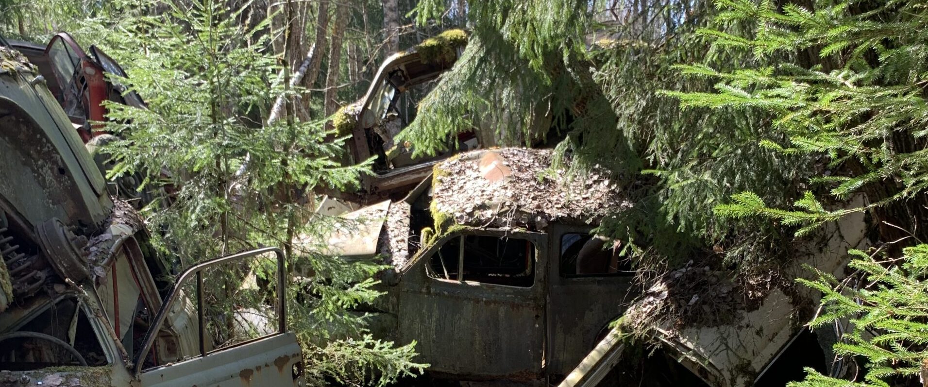 Ingen turistattraktion i Sävja kan tävla mot landets kända bilkyrkogårdar