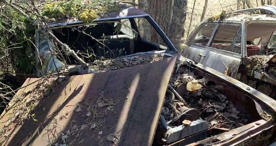 Miljöansvarig i Skara varnar för illegala bilkyrkogårdar