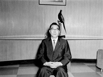 Kohei Matsuda: Mazda historia