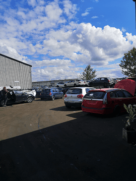 Bilskrot i Lilla Edet hämtar utrangerade Alfa Romeo-2300