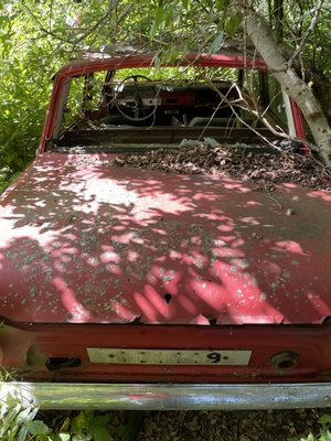 Dumpade Opel-Calibra återgår i ett evigt kretslopp genom bilskrot i Angered