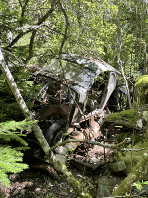 Bilskrot i Kållered har nästan nått total återvinning av en gammal Renault-Fuego