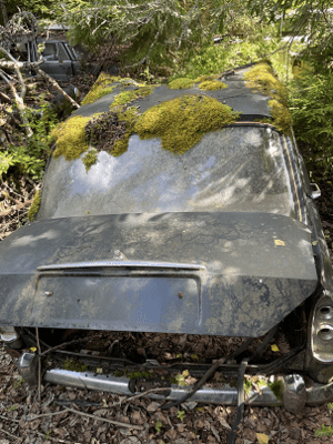 Besiktning i Kristinehamn ger skrotbilar körförbud & ofta besök hos bilskrot