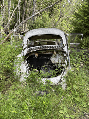 Bilskrot i Mölndal hämtar många avställda bilar