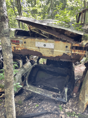 Dumpad Hyundai-Trajet är värdefull för bilskrot i Mölndal