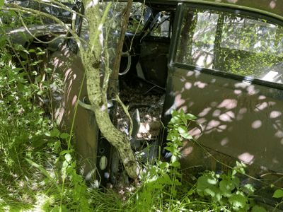 Bilskrot i Trollhättan samlar in Mitsubishi-Colt