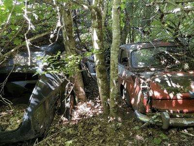 Bilskrot i Uddevalla sanerar kasserade Subaru-Legacy miljömässigt