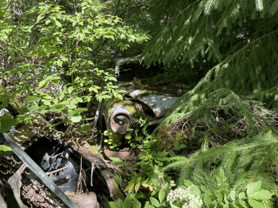 Skrotade Honda-1300 bilar åter i trafik