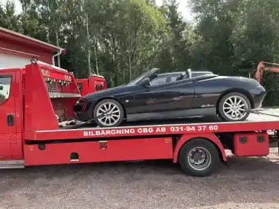 Skrotning av en Alfa spider